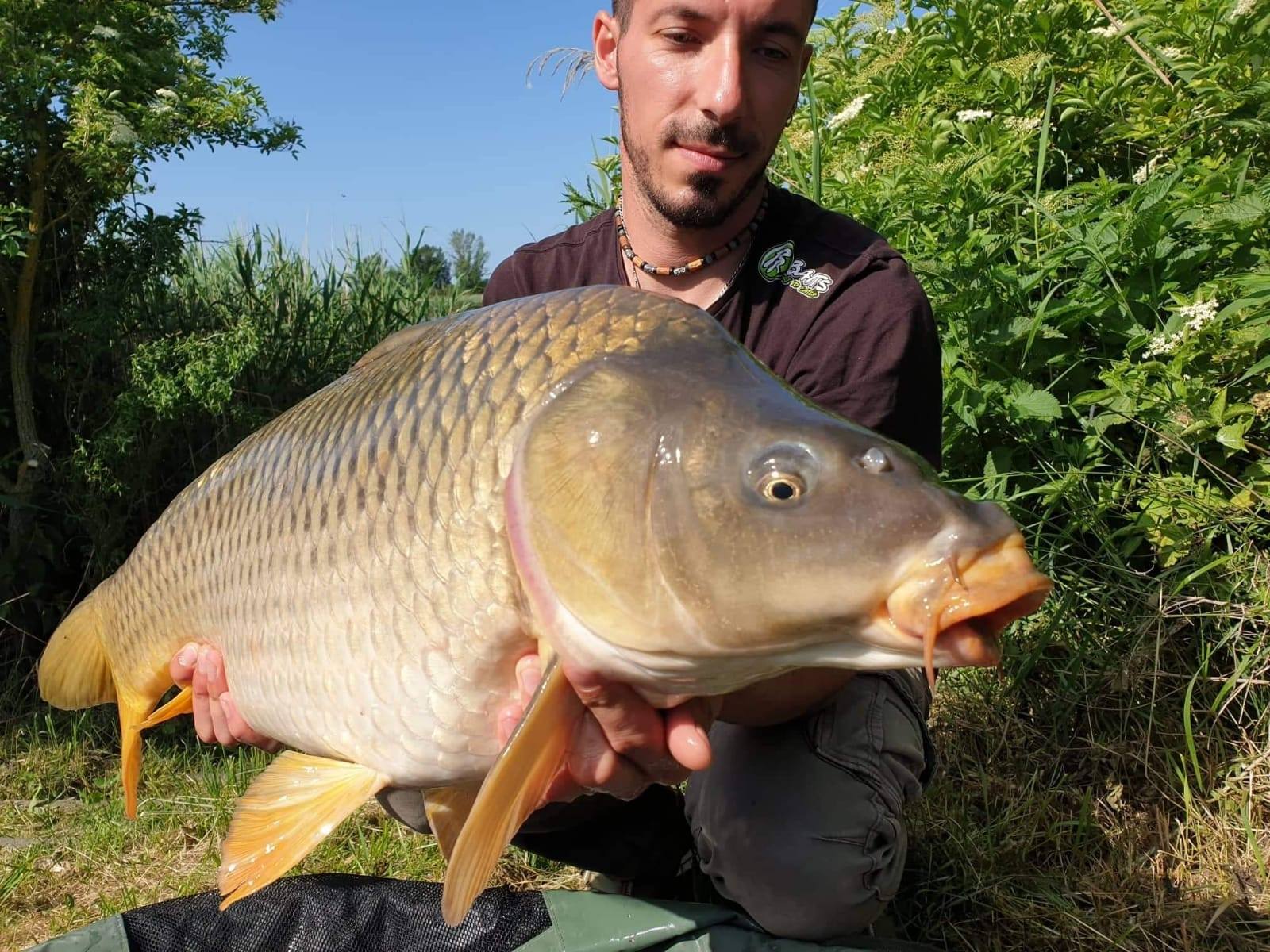 Pozdrav Gábora z Maďarska