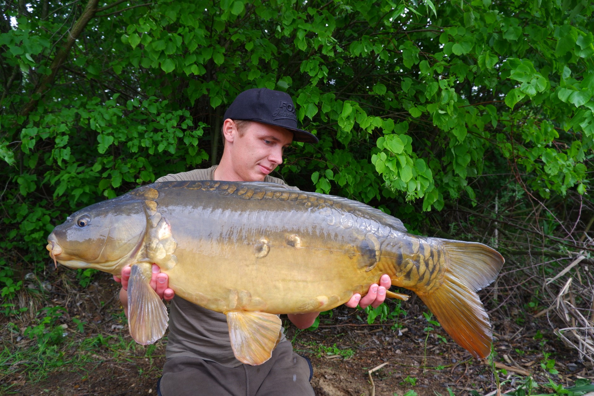 Roční období jaro