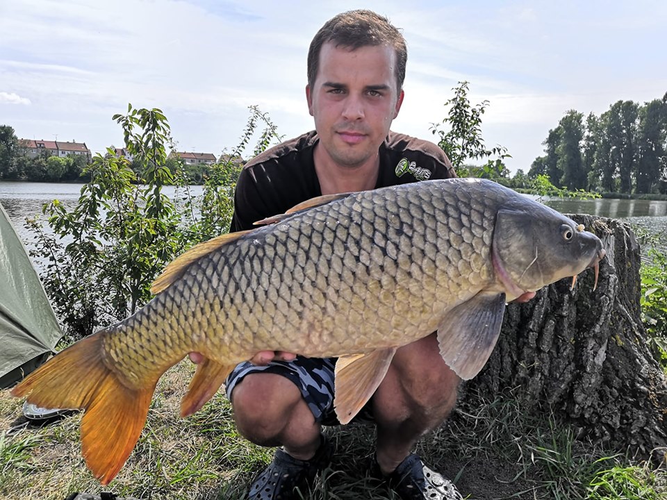 Bloodworm krill stále boduje