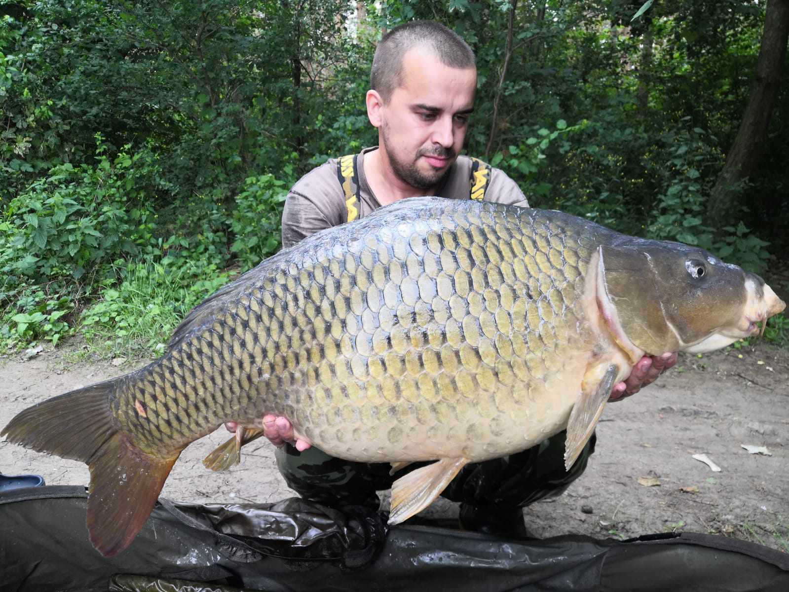 Nový osobák na Mackerel Anissed