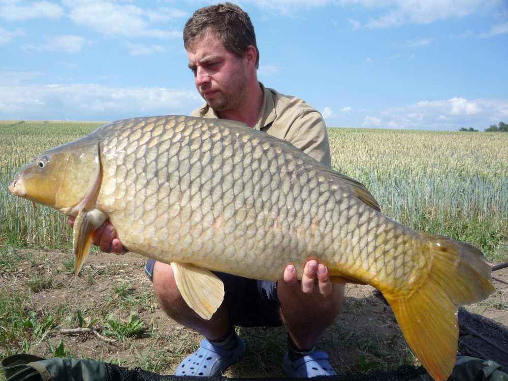 Našlapaná klobása