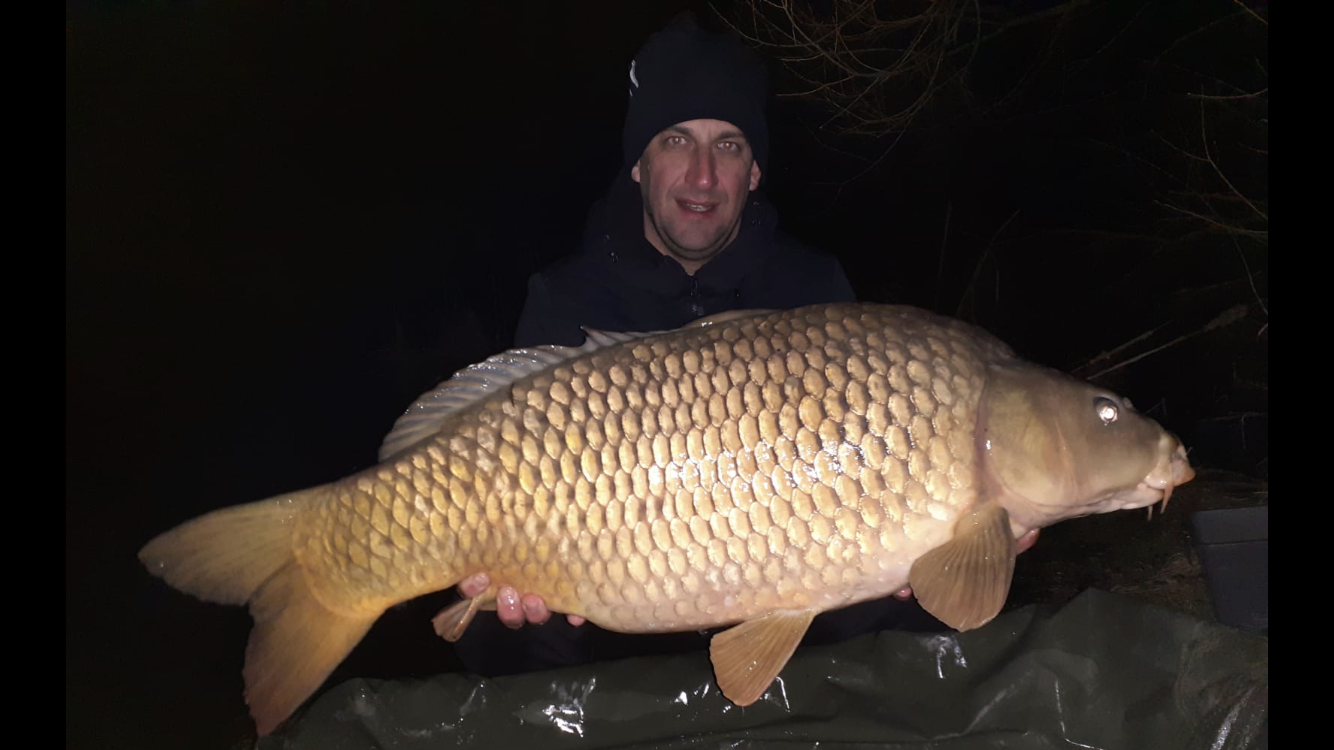 Zdar jak sviňa v novém roce 2020