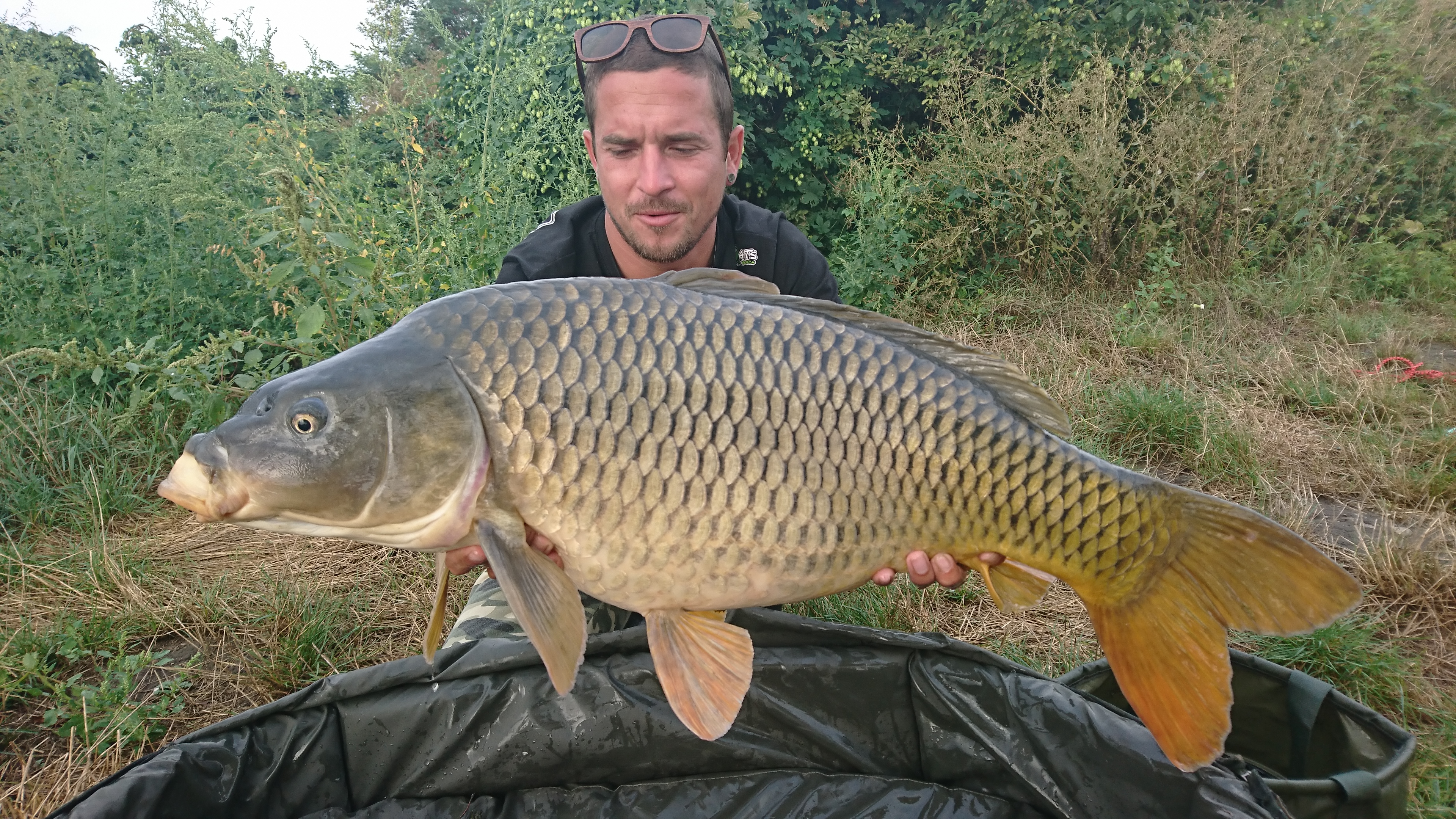 Víkendový krasavec z D7