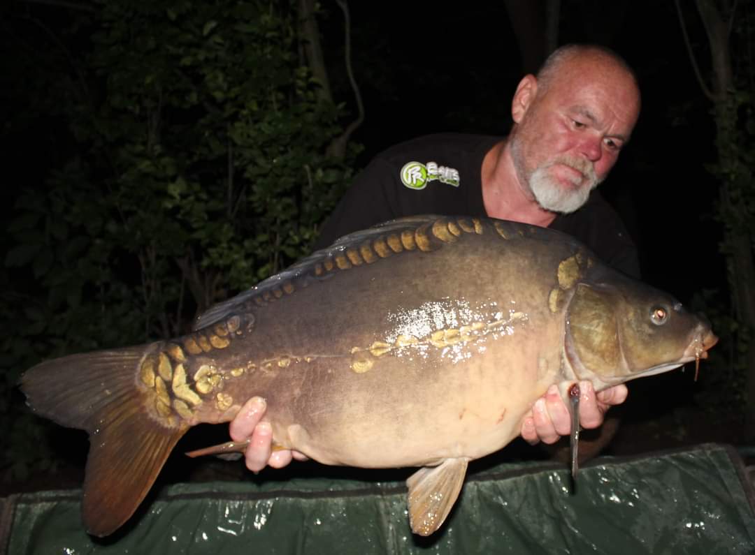 Krátké vycházky s Top Enzym a Mackerel Aniseed