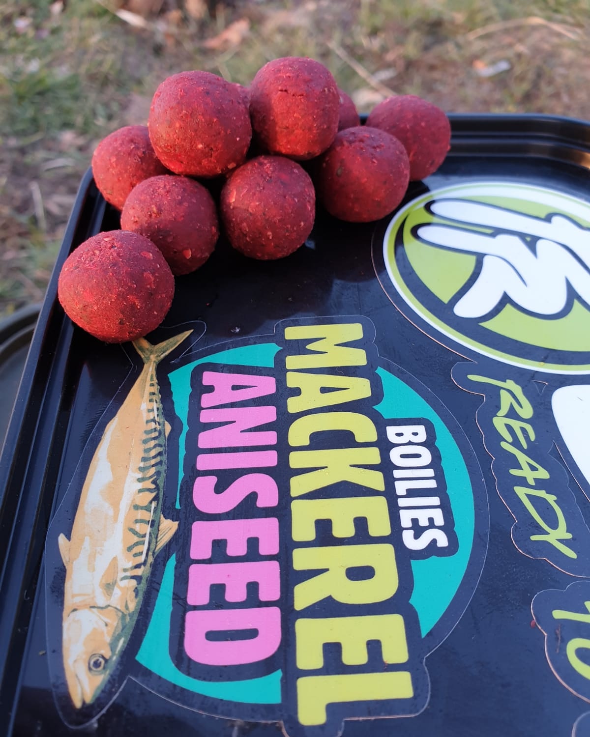 Zpátky ke kořenům