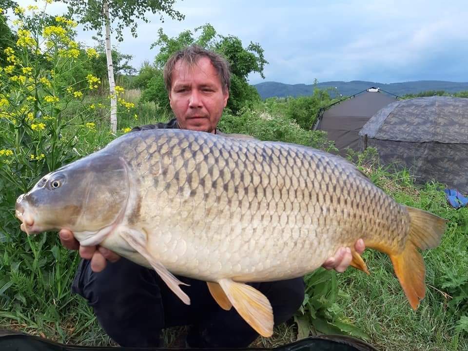 Makrela opět fungovala