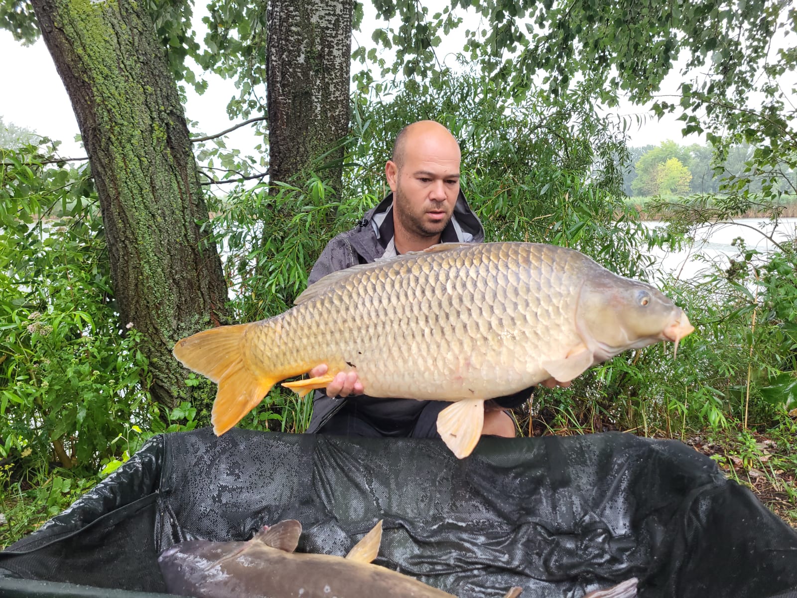 Jalapeňos a Bloodworm Krill opět v akci