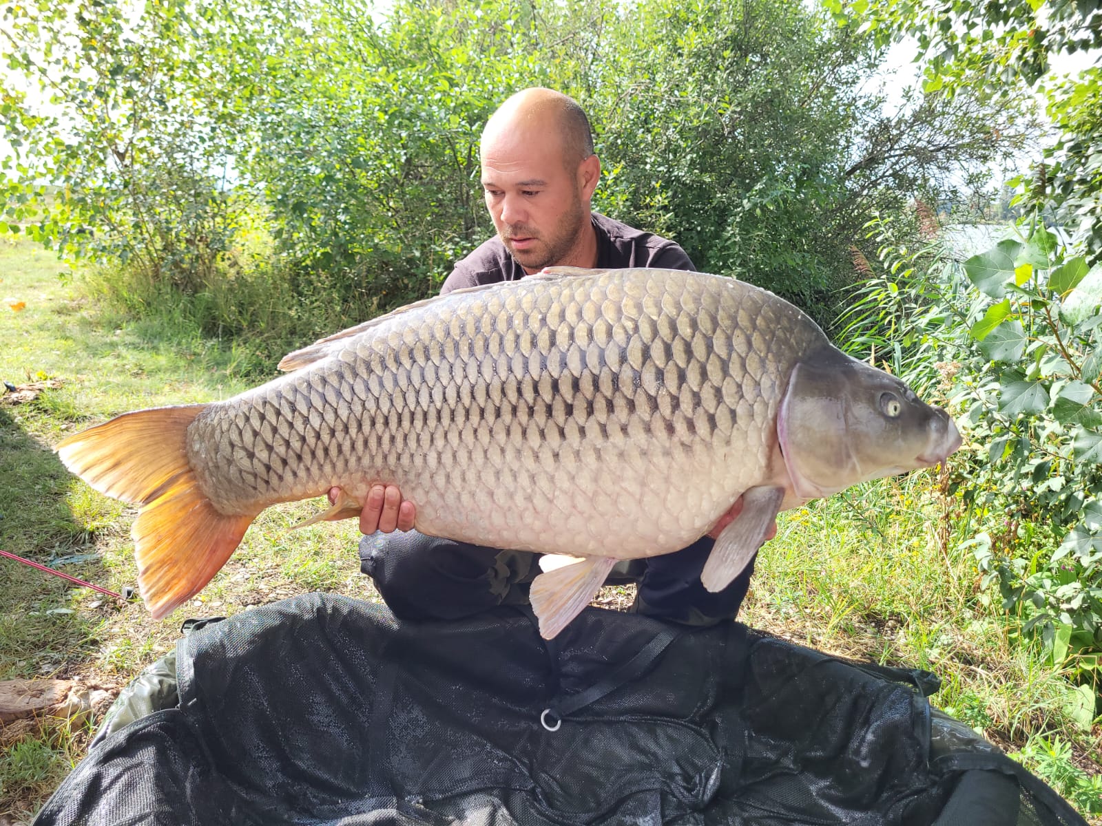 Jalapeňos a Bloodworm Krill! Dvě úspěšné nástrahy