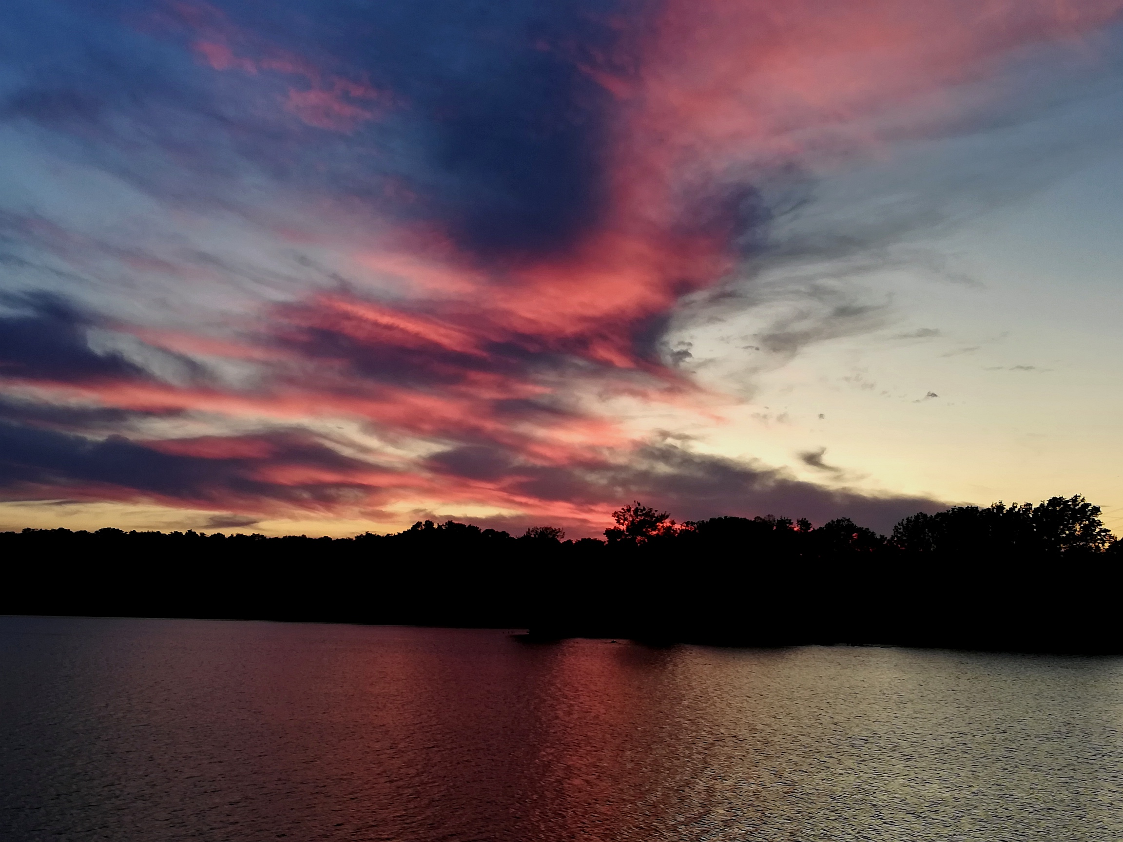 Kapři milují ananas