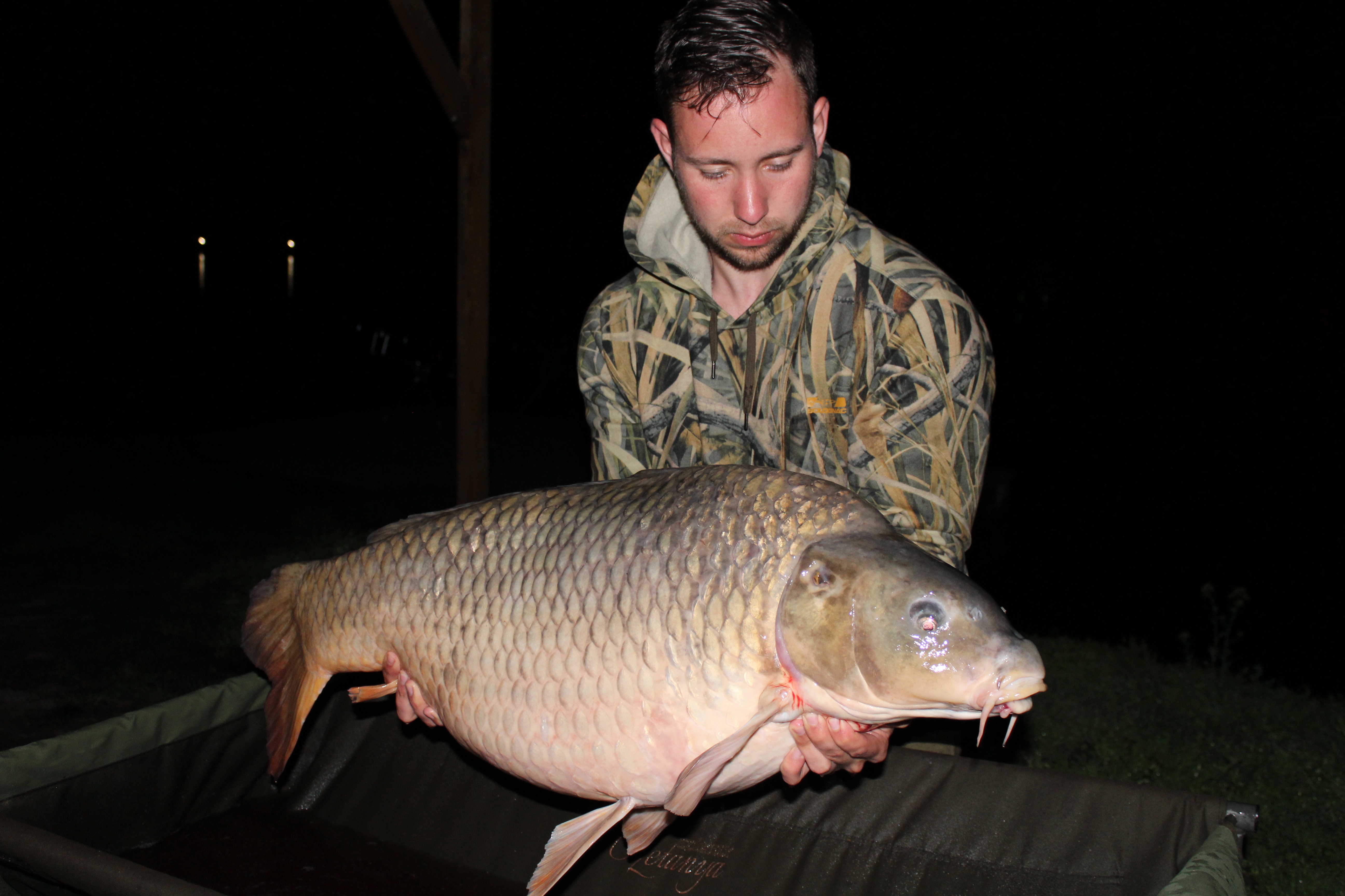 Őzetanya april 2018