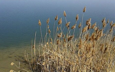 Erik poprvé v barvách RR