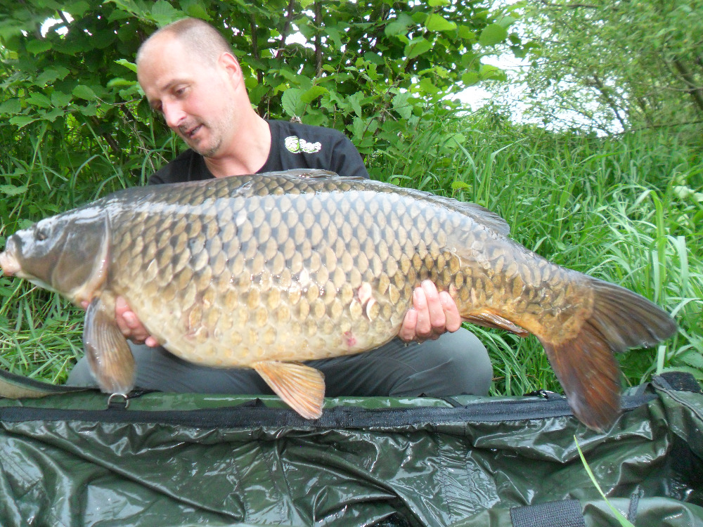 Opětovné setkání