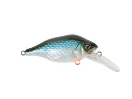 funk bug cool herring