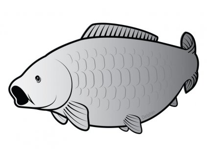 c5fae6bb2d438189fd856e0cb0bfc2f1