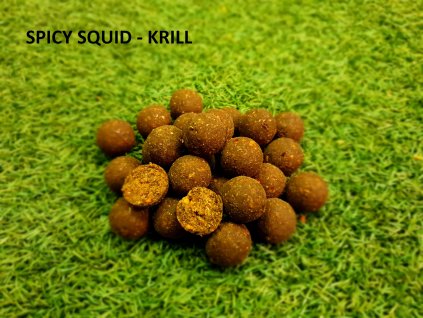 RR BAITS Krmné Boilies FEED Premium