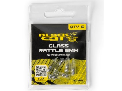 Snímek obrazovky 2026 02 11 112156