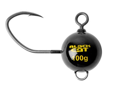 Snímek obrazovky 2026 02 11 112726