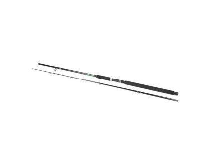 Přívlačový prut Nemesis Boat 2,4m/100-300g