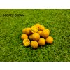 RR BAITS Krmné Boilies FEED Premium
