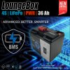 0004283 carplounge loungebox pwr 12v 4s lifepo