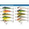 Salmo rybářské woblery chubby Darter CD5 (Variant barva PH)