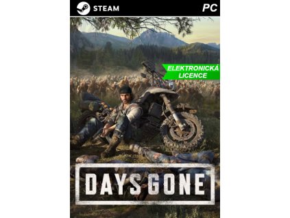 DG