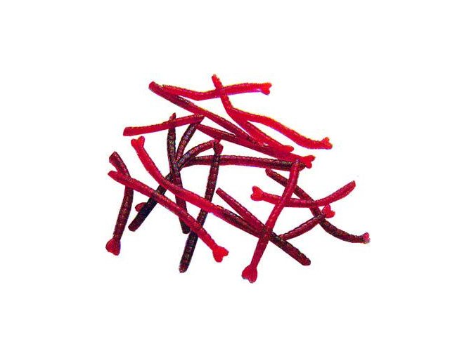 Patentka umělá 2,5cm - 30ks