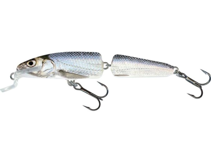 33237 wobler salmo fanatic 7f rbl