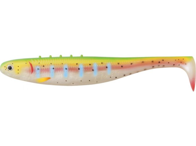 Gumová nástraha Dragon FLASH 20cm 50g RT