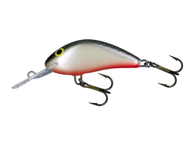 Wobler Salmo HORNET GS (* Wobler Salmo HORNET GS 6,0cm Sinking)
