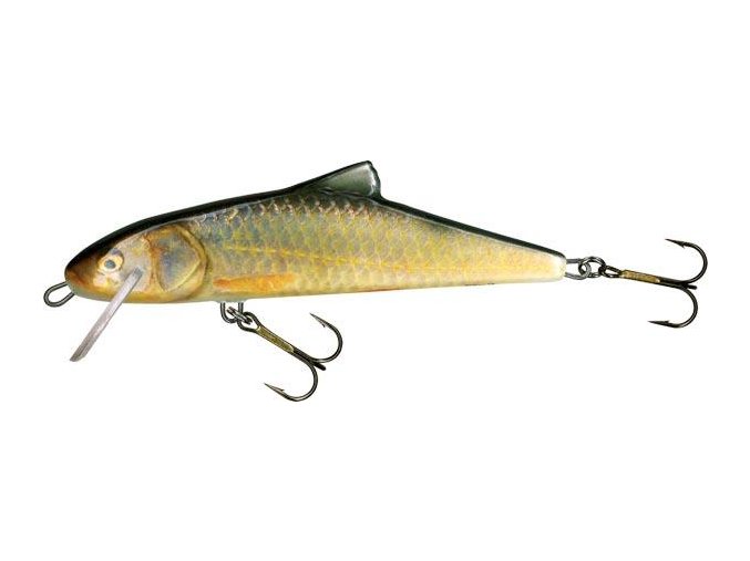 Wobler Salmo SKINNER RR (* Wobler Salmo SKINNER RR 20,0cm Floating)