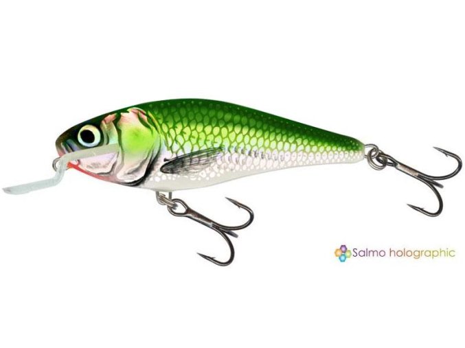 Wobler Salmo EXECUTOR EF (* Wobler Salmo EXECUTOR EF 9,0cm Floating SR)