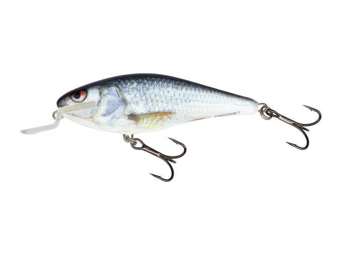Wobler Salmo EXECUTOR RD (* Wobler Salmo EXECUTOR RD 7,0cm Floating SR)