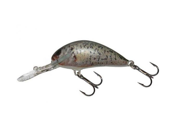 Wobler Salmo HORNET RCR (* Wobler Salmo HORNET RCR 6,0cm Sinking)