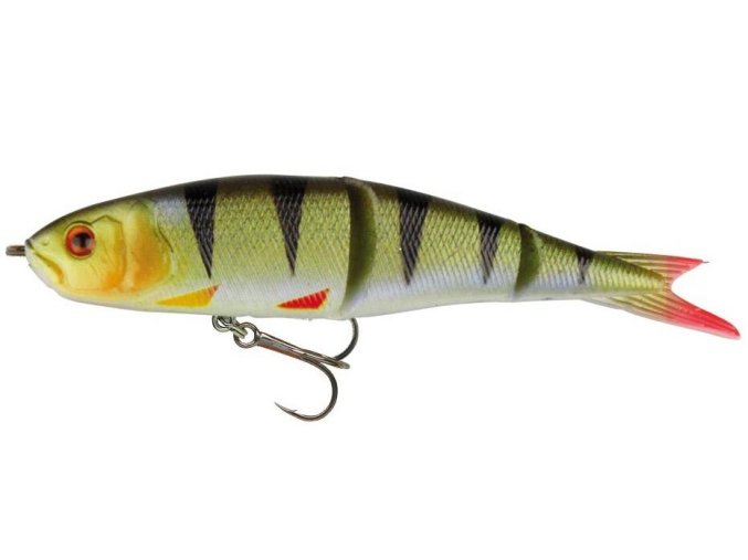 SAVAGE GEAR Soft 4play Ready To Fish P