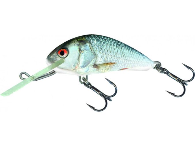 Wobler Salmo HORNET RD (* Wobler Salmo HORNET RDE 6,0cm Floating)