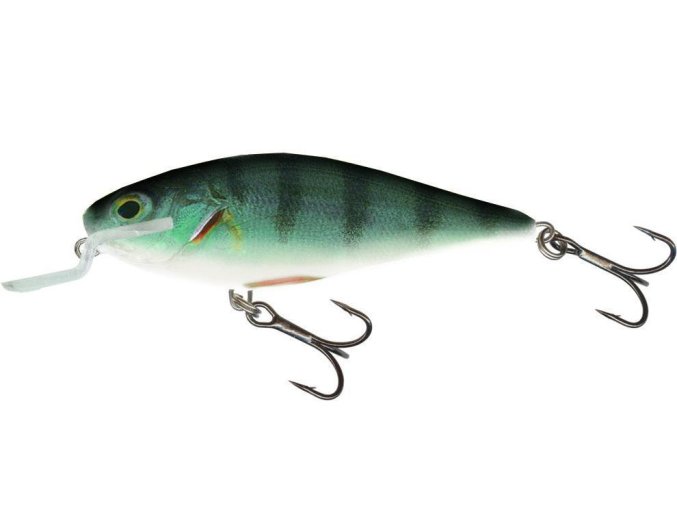 Wobler Salmo EXECUTOR RPH (* Wobler Salmo EXECUTOR RPH 9,0cm Floating SR)