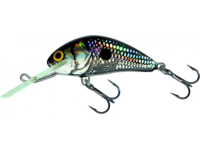 Wobler Salmo HORNET BSS (* Wobler Salmo HORNET BSS 6,0cm Sinking)