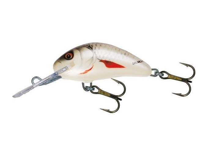 Wobler Salmo HORNET D (* Wobler Salmo HORNET D 6,0cm Sinking)