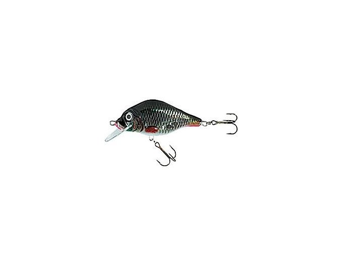 Wobler Holo Select Carpan D