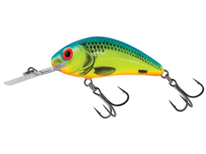 Wobler Salmo Rattlin Hornet CB (* Wobler Salmo Rattlin Hornet CB 6,5cm Floating)