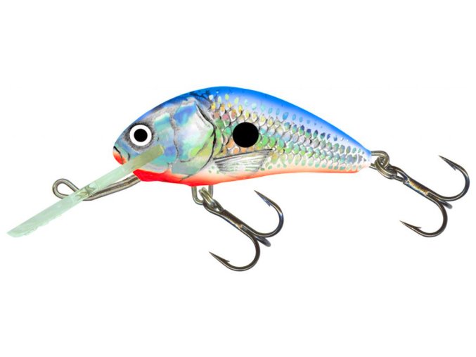 Wobler Salmo HORNET SBS (* Wobler Salmo HORNET SBS 6,0cm Floating)