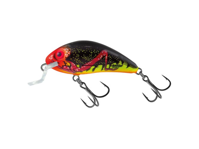 Wobler Salmo Rattlin Hornet SR FBG (* Wobler Salmo Rattlin Hornet SR FBG 3,5cm Floating)