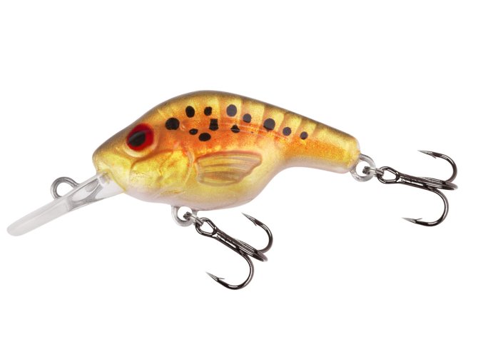 Wobler FISHTANK Omega GR