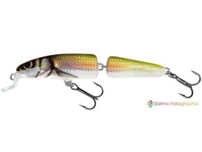 33234 wobler salmo fanatic 7f hbl