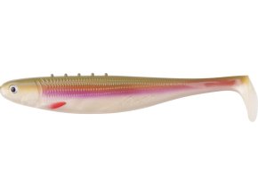 Gumová nástraha Dragon FLASH 20cm 50g PS