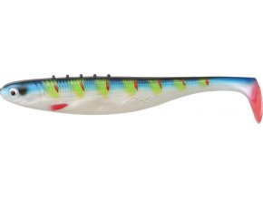 Gumová nástraha Dragon FLASH 20cm 50g SF