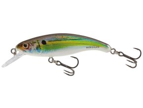 33966 wobler salmo slick stick rhs 6 0cm floating