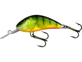 Wobler Salmo HORNET HP (* Wobler Salmo HORNET HP 6,0cm Floating)