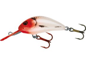 Wobler Salmo HORNET RHH (* Wobler Salmo HORNET RHH 6,0cm Sinking)